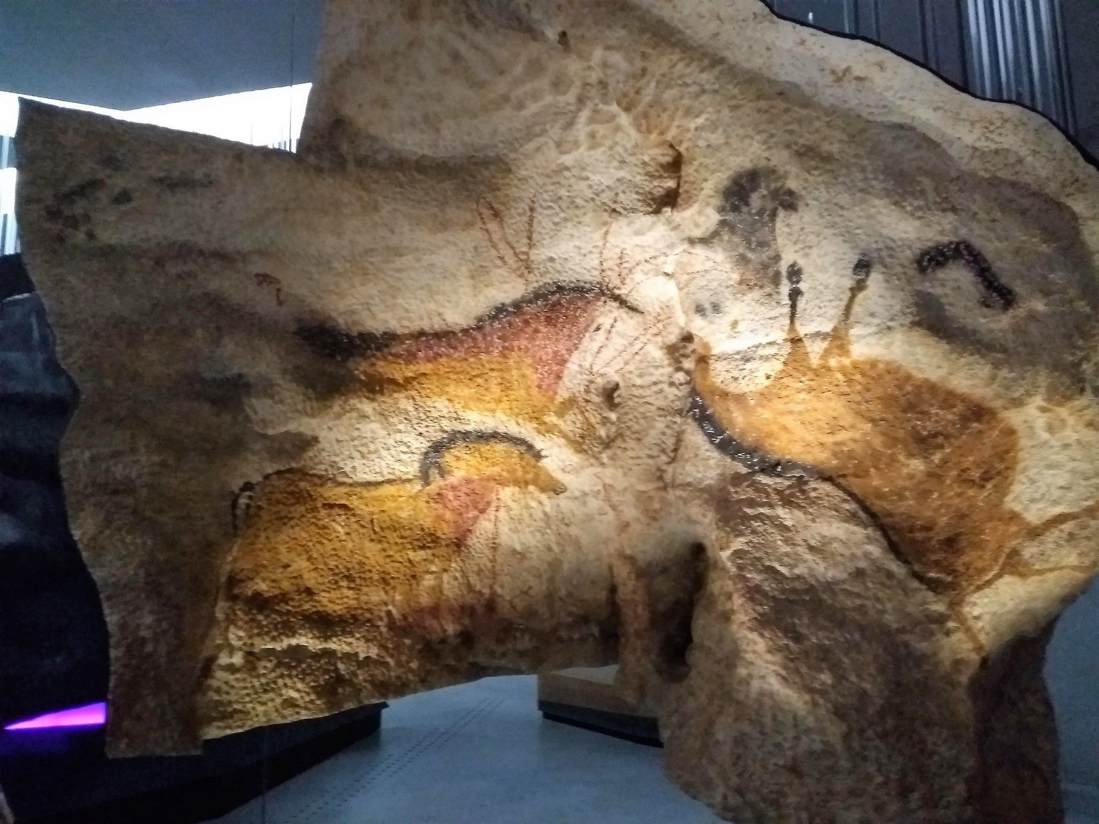 La grotte de Lascaux – Image 4