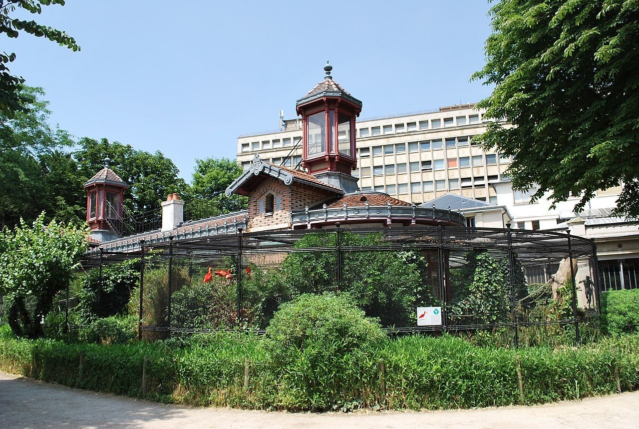 Museum d'histoire naturelle – Image 4