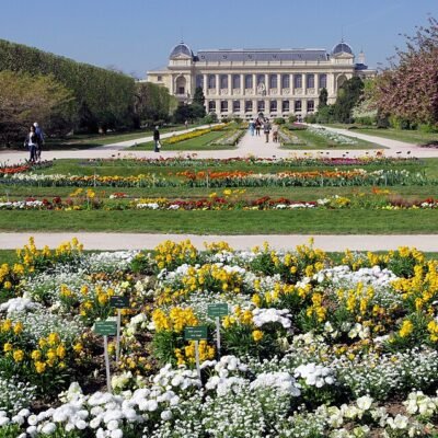 Museum d'histoire naturelle