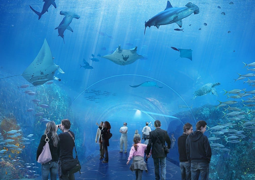 Nausicaá – Image 3